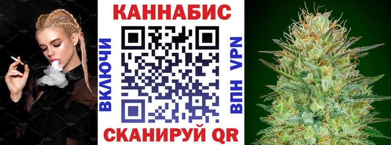 Купить  Борзя  МАРИХУАНА сатива 